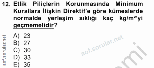Soru 12