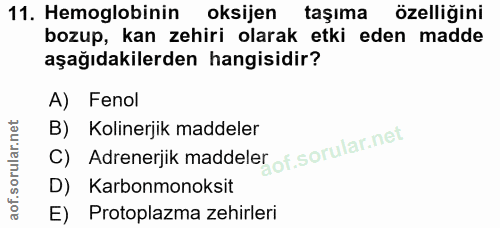 Soru 11