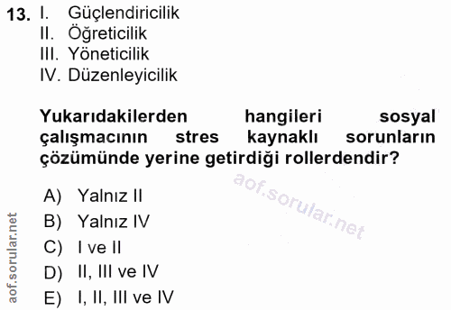 Soru 13
