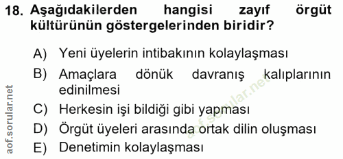 Soru 18