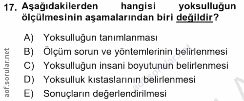 Soru 17