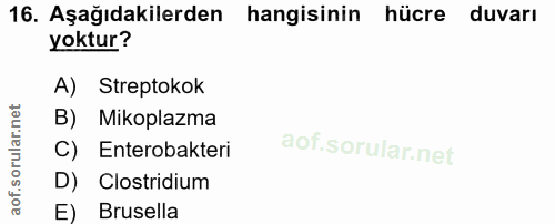 Soru 16