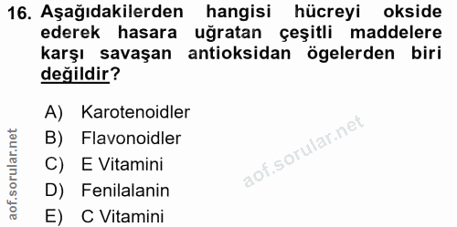 Soru 16