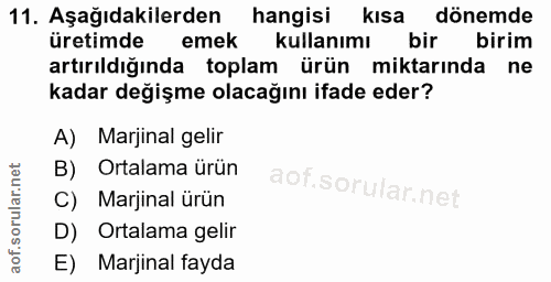 Soru 11