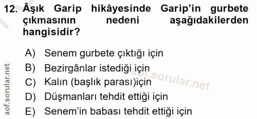 Soru 12