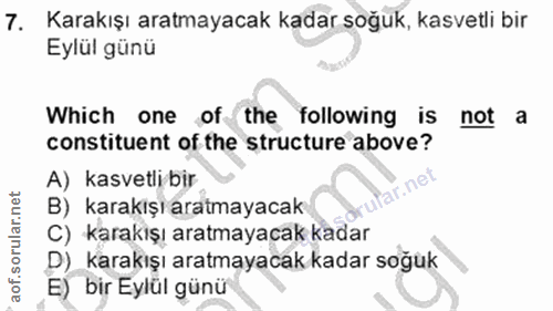 Soru 7