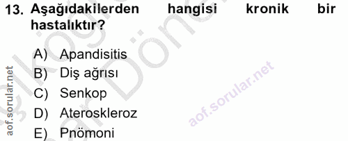 Soru 13