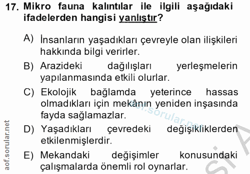 Soru 17