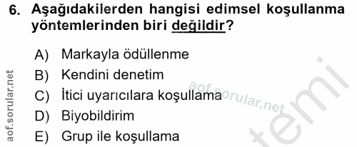 Soru 6