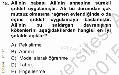 Soru 18