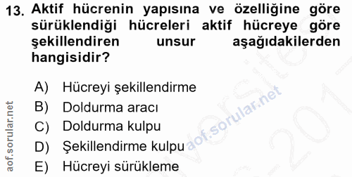 Soru 13