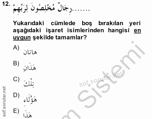 Soru 12