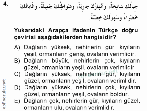 Soru 4