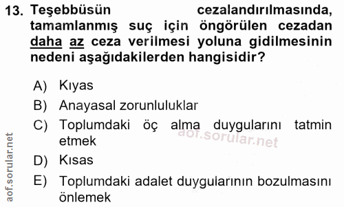 Soru 13