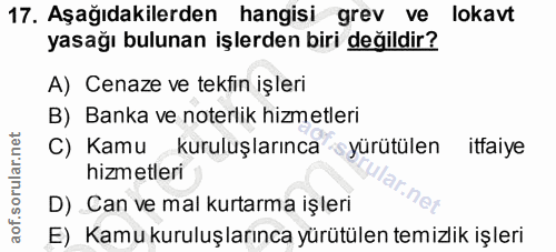 Soru 17