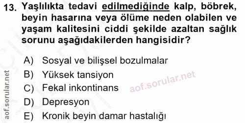 Soru 13