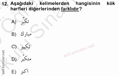 Soru 12