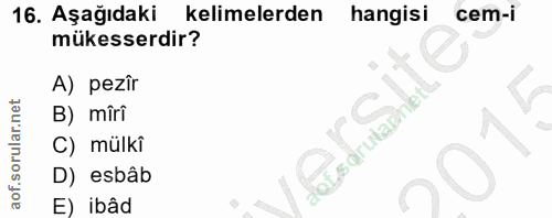Soru 16