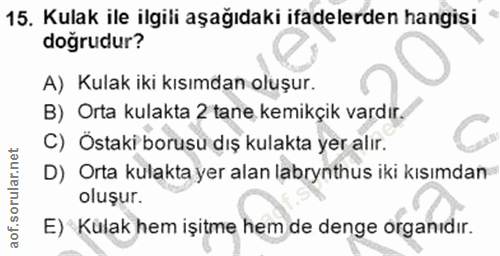 Soru 15