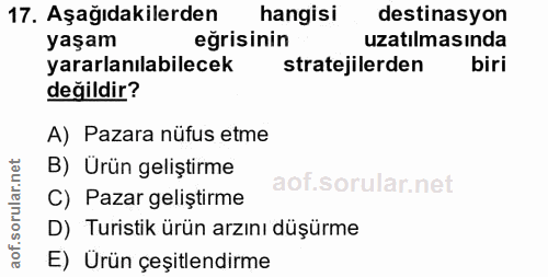 Soru 17