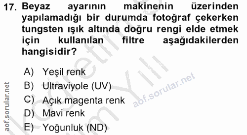 Soru 17