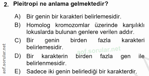 Soru 2