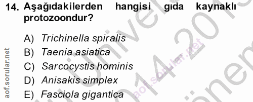 Soru 14