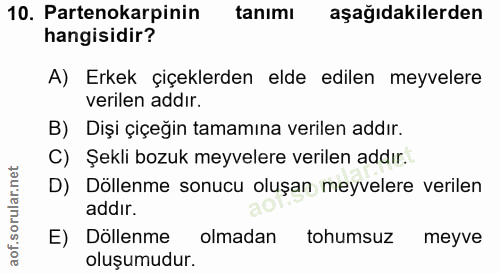 Soru 10