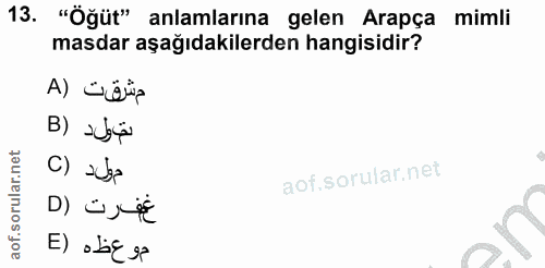 Soru 13