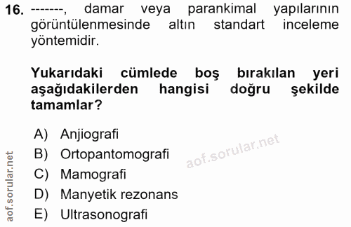 Soru 16