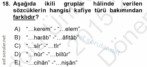 Soru 18