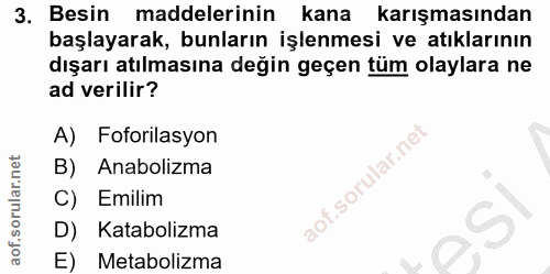 Soru 3