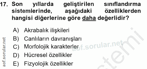 Soru 17