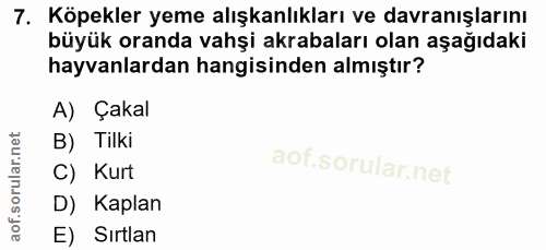 Soru 7
