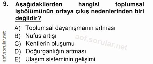 Soru 9