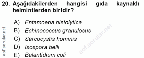 Soru 20