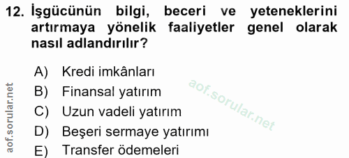 Soru 12