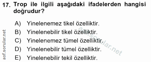 Soru 17