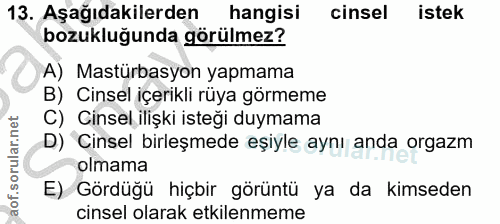 Soru 13