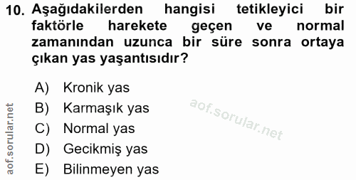 Soru 10