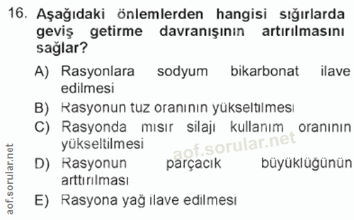 Soru 16