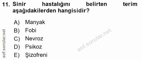 Soru 11