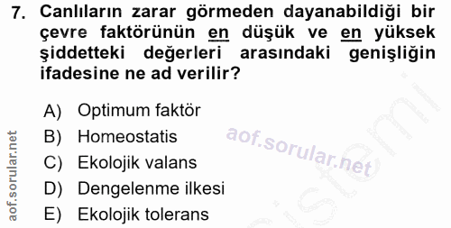 Soru 7
