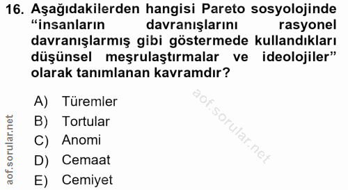 Soru 16