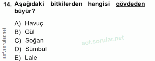 Soru 14