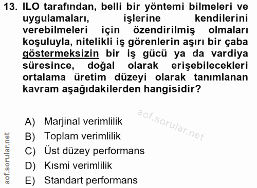 Soru 13