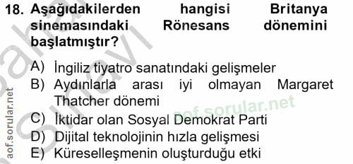 Soru 18