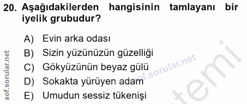 Soru 20
