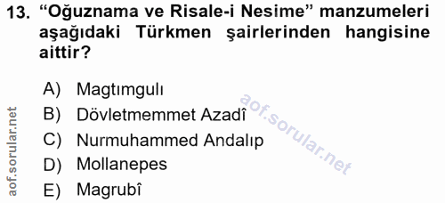 Soru 13