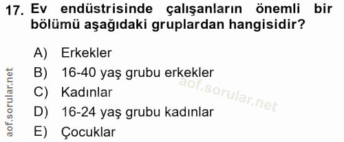 Soru 17